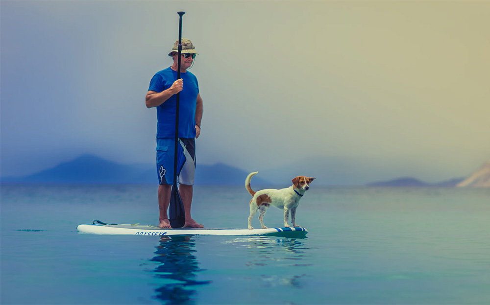 Sursa foto: Alex Blăjan, Unsplash